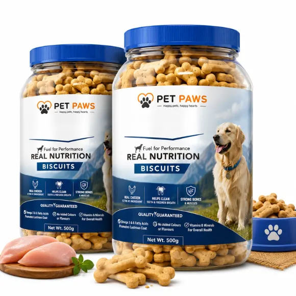Premium Real Chicken Dog Biscuits – Crunchy Nutritional Treat for All Life Stages