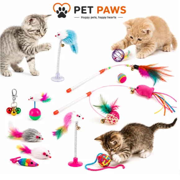 Interactive Plush Cat Toy Set – 13-Piece Variety Pack for Kittens & Cats