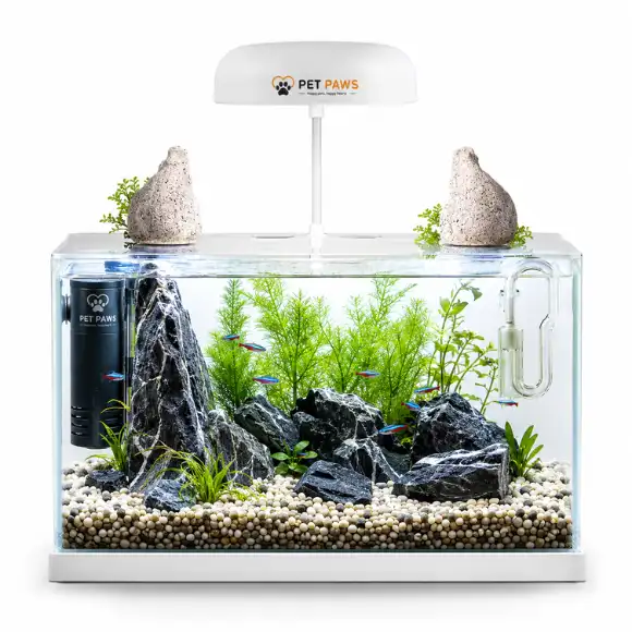 Premium Clear Glass Mini Aquarium Tank for Betta Fish & Small Aquatic Pets